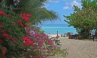 Hotel Secret Cabins At Firefly Beach Cottage Negril Giamaica